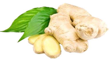 Ingwerknolle  KL. 1 (China)