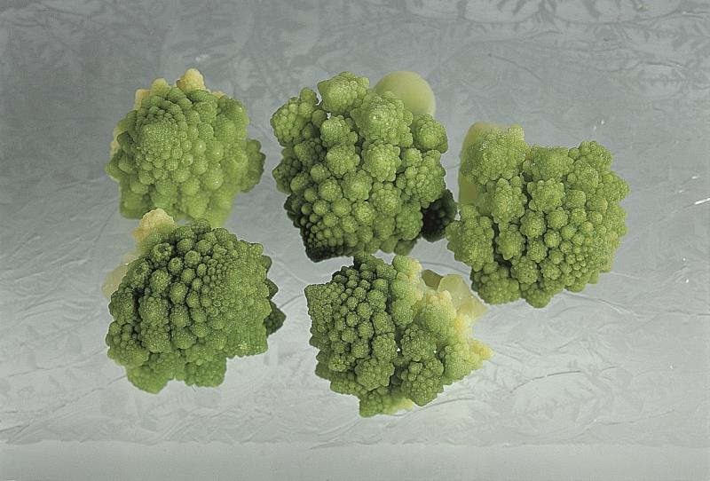 TK Romanesco-Röschen 30/60 SERVISA