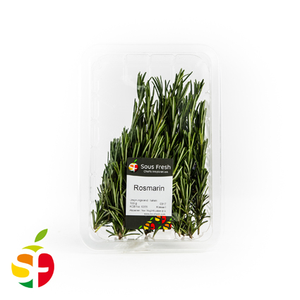 Rosmarin frisch (NLD, ISR, KEN, BEL, ETH, THA, ESP, DEU, MAR) SF