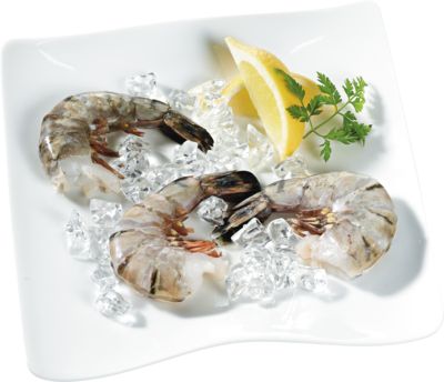 TK MERMAID King Prawns SW ohne Kopf, mit Schale, easy peel, 20% Glasur 6/8 MERMAID FARMED TK MERMAID King Prawns SW ohne Kopf, mit Schale, easy peel, 20% Glasur 6/8 MERMAID FARMED