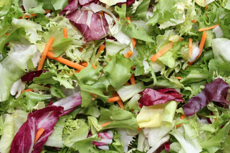Salat Buntes Blattwerk FRIKONI (11ü)