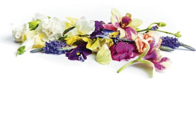 Blüten-Mix essbar (ISR) 8-fach