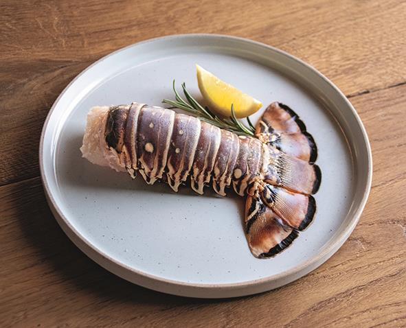 TK MERMAID Langustenschwänze ohne Kopf, mit Schale roh 6/8 oz. MERMAID